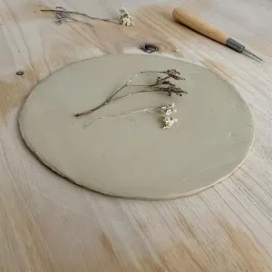 élément végétal prêt a être transférer