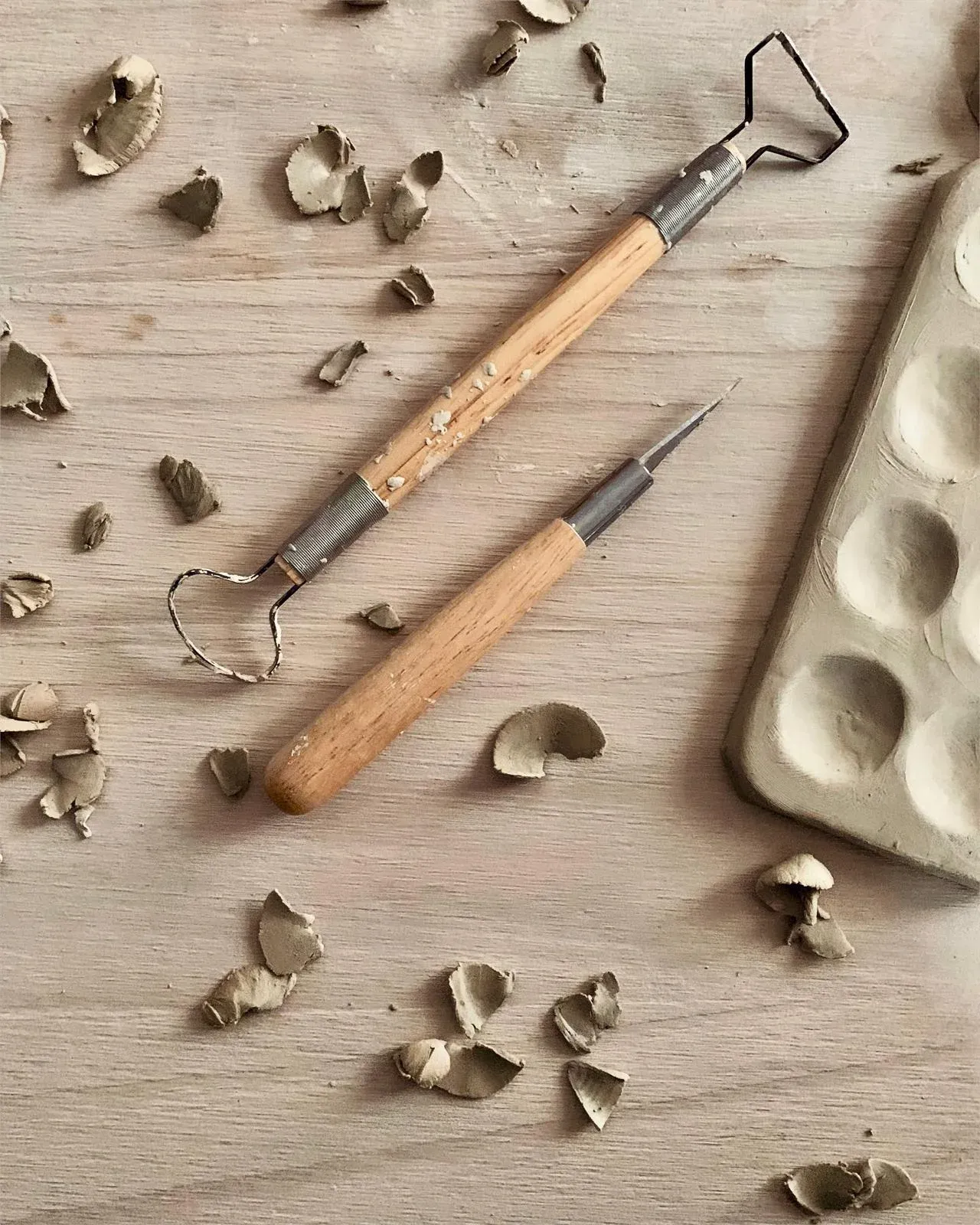 Cours adultes - Image 1